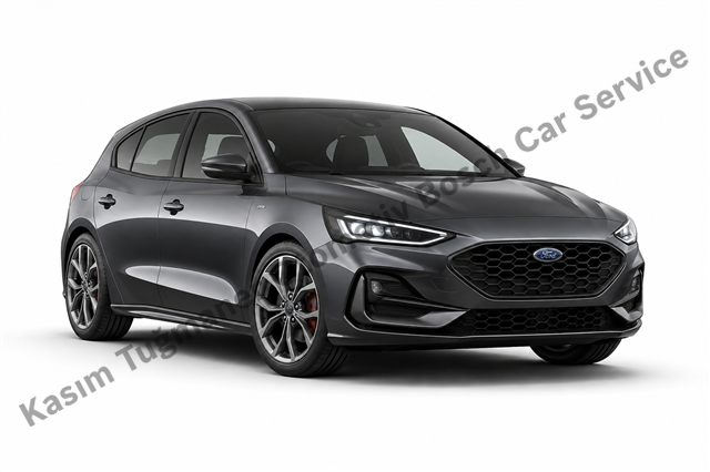 Mardin Ford Servisi